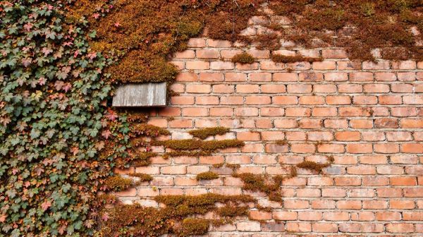 5 astuces pour une isolation thermique extérieure efficace
